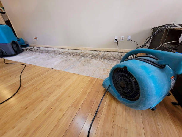 Professional Basement Flood Cleanup technician working in Tracy, CA